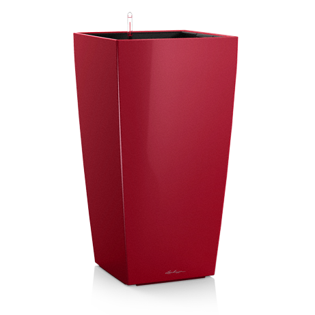 office plants lechuza cubico red